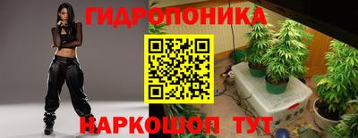 a pvp Тара
